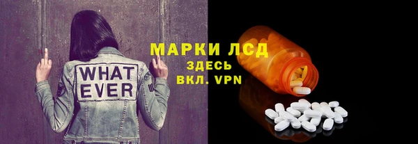 хмурый Арсеньев