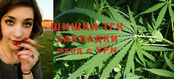 хмурый Арсеньев