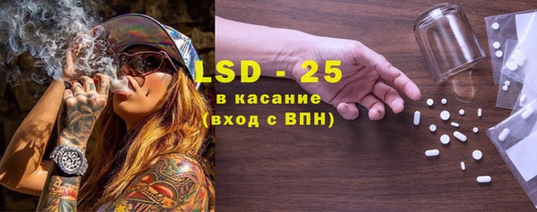 хмурый Арсеньев