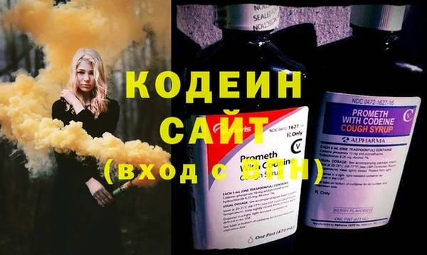 хмурый Арсеньев