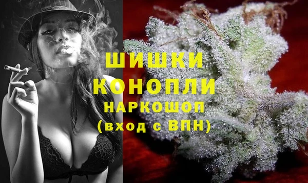 хмурый Арсеньев